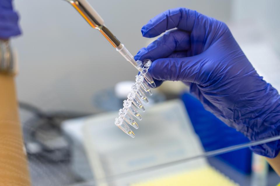 Insurers hit back at PL MP claim that they request genetic test results