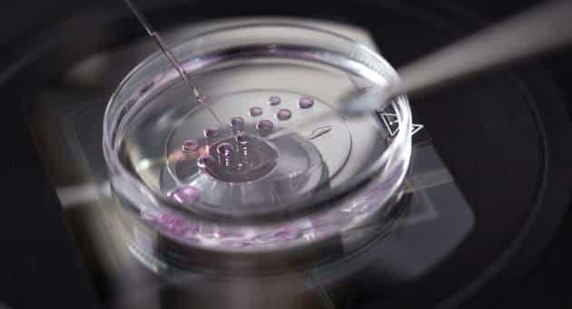 Insurers do not request genetic test results, iam says